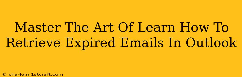 Master The Art Of Learn How To Retrieve Expired Emails In Outlook