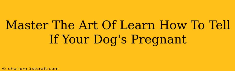 Master The Art Of Learn How To Tell If Your Dog's Pregnant