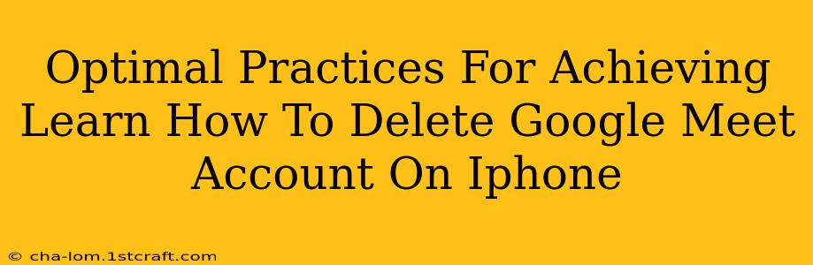 Optimal Practices For Achieving Learn How To Delete Google Meet Account On Iphone