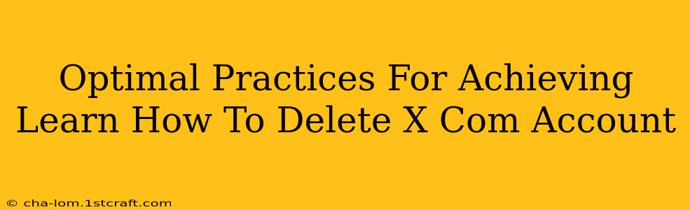 Optimal Practices For Achieving Learn How To Delete X Com Account