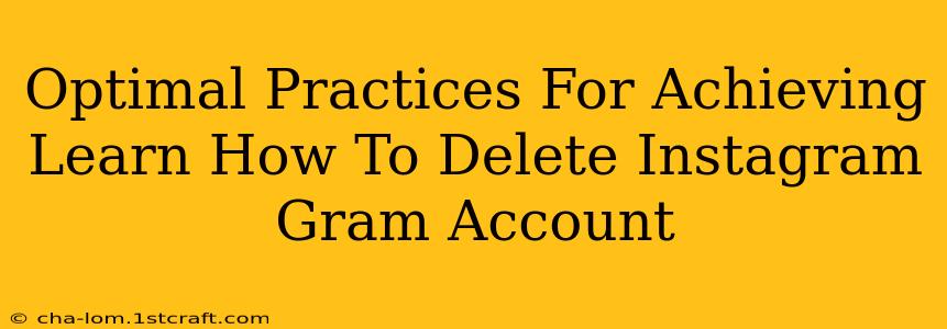 Optimal Practices For Achieving Learn How To Delete Instagram Gram Account