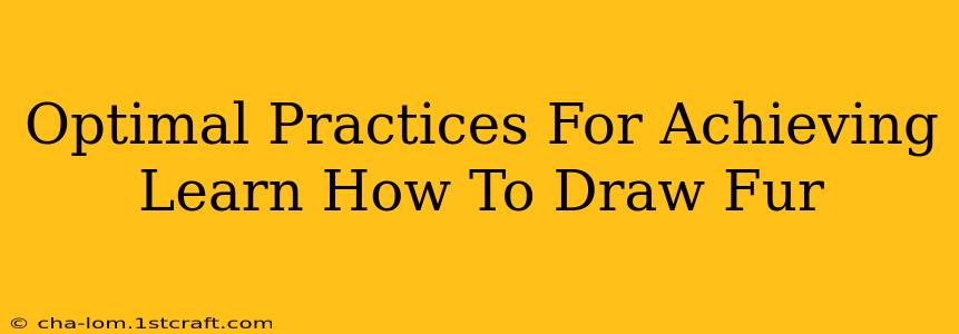 Optimal Practices For Achieving Learn How To Draw Fur