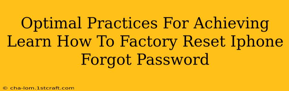 Optimal Practices For Achieving Learn How To Factory Reset Iphone Forgot Password