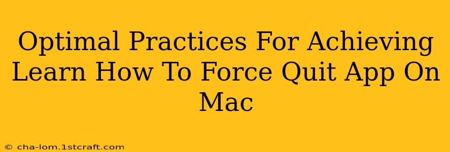 Optimal Practices For Achieving Learn How To Force Quit App On Mac