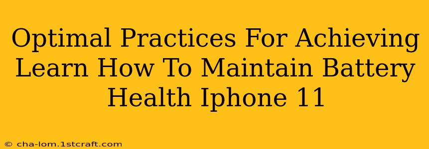 Optimal Practices For Achieving Learn How To Maintain Battery Health Iphone 11