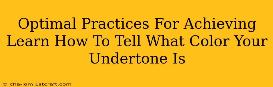 Optimal Practices For Achieving Learn How To Tell What Color Your Undertone Is