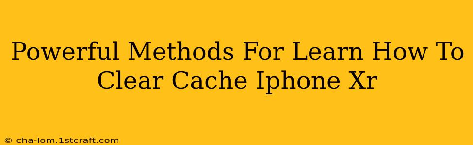 Powerful Methods For Learn How To Clear Cache Iphone Xr