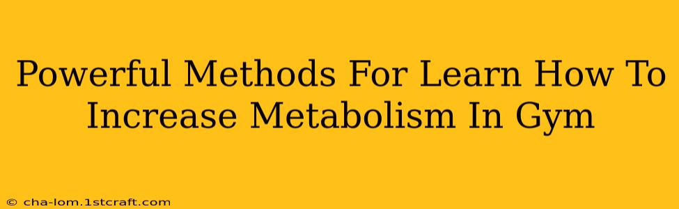 Powerful Methods For Learn How To Increase Metabolism In Gym