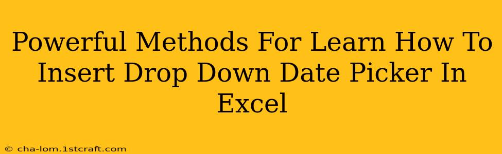 Powerful Methods For Learn How To Insert Drop Down Date Picker In Excel