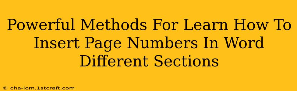 Powerful Methods For Learn How To Insert Page Numbers In Word Different Sections