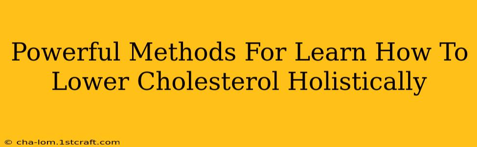 Powerful Methods For Learn How To Lower Cholesterol Holistically