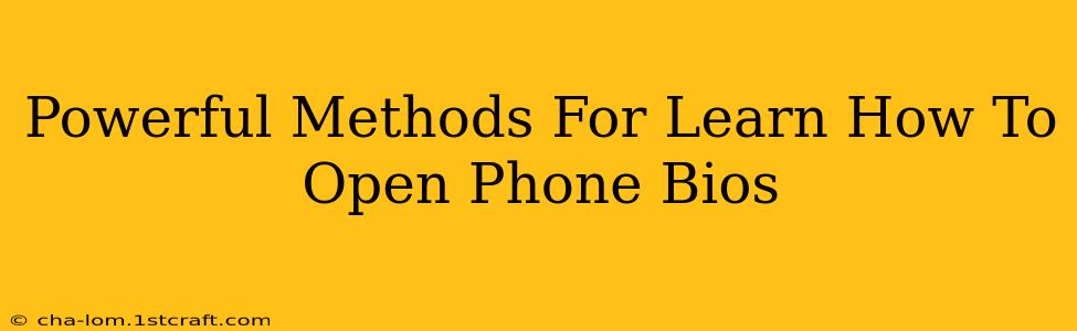 Powerful Methods For Learn How To Open Phone Bios