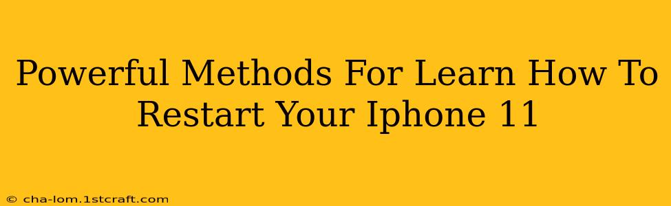 Powerful Methods For Learn How To Restart Your Iphone 11