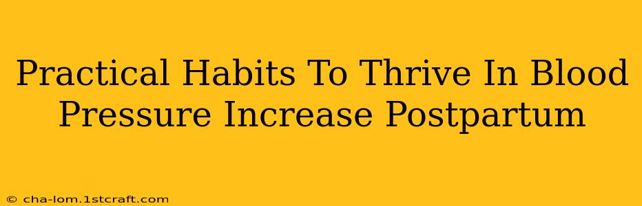 Practical Habits To Thrive In Blood Pressure Increase Postpartum