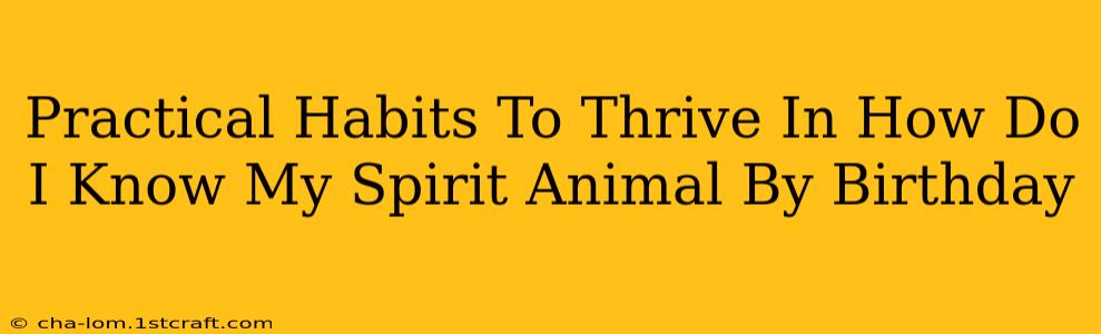 Practical Habits To Thrive In How Do I Know My Spirit Animal By Birthday