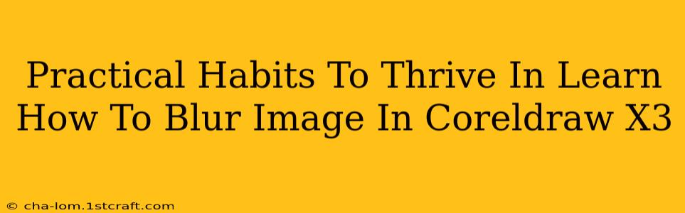 Practical Habits To Thrive In Learn How To Blur Image In Coreldraw X3