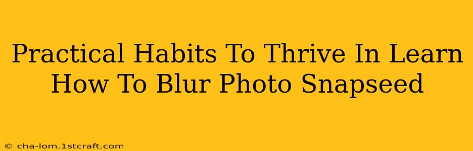 Practical Habits To Thrive In Learn How To Blur Photo Snapseed