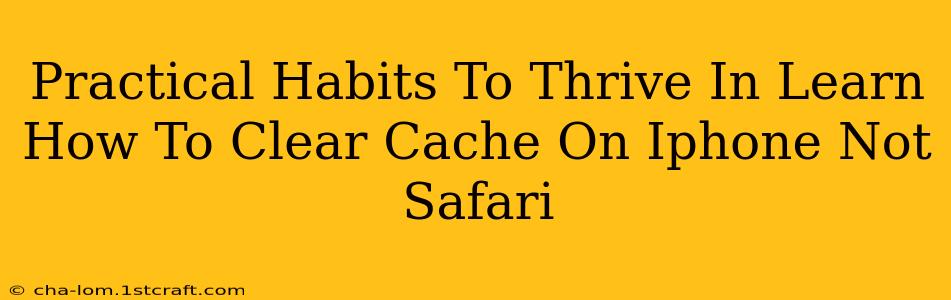 Practical Habits To Thrive In Learn How To Clear Cache On Iphone Not Safari