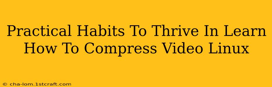 Practical Habits To Thrive In Learn How To Compress Video Linux