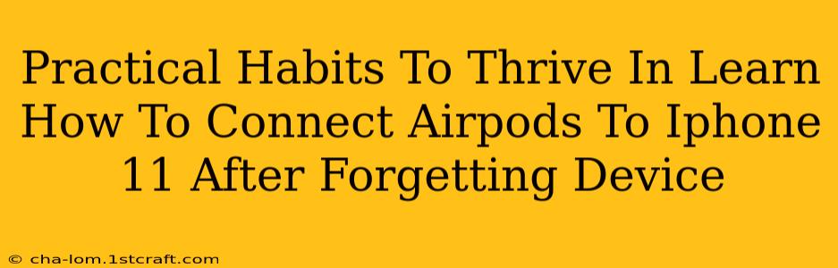 Practical Habits To Thrive In Learn How To Connect Airpods To Iphone 11 After Forgetting Device