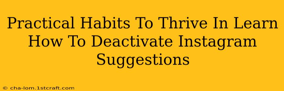 Practical Habits To Thrive In Learn How To Deactivate Instagram Suggestions