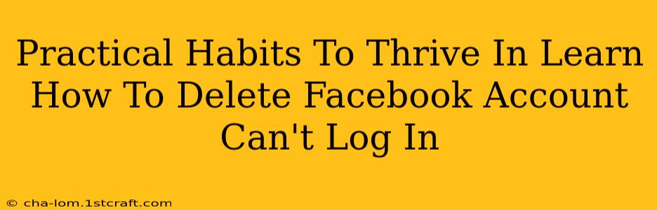 Practical Habits To Thrive In Learn How To Delete Facebook Account Can't Log In