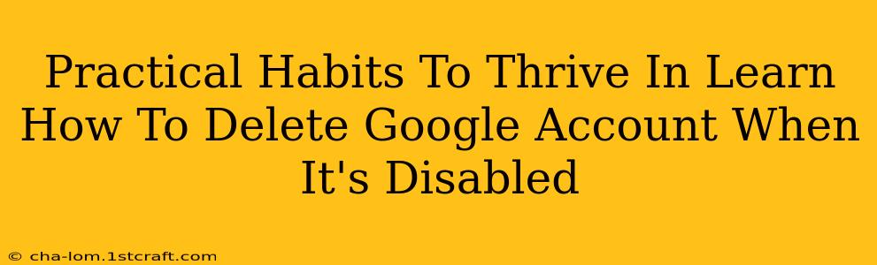 Practical Habits To Thrive In Learn How To Delete Google Account When It's Disabled