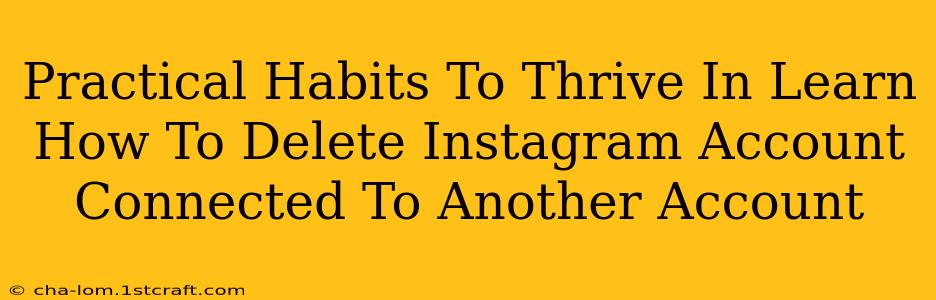 Practical Habits To Thrive In Learn How To Delete Instagram Account Connected To Another Account