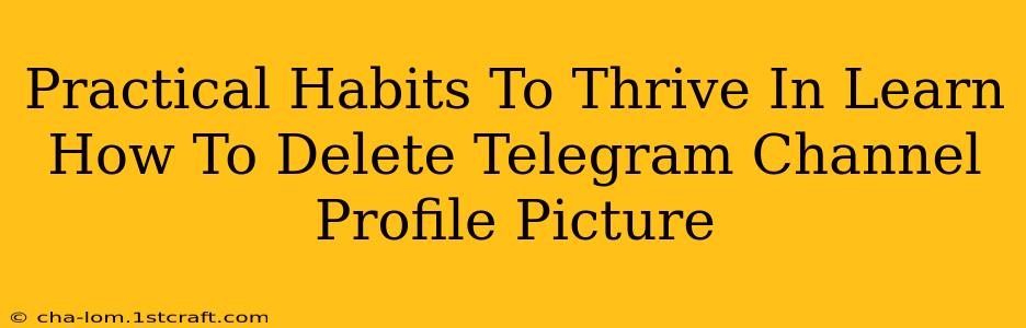 Practical Habits To Thrive In Learn How To Delete Telegram Channel Profile Picture