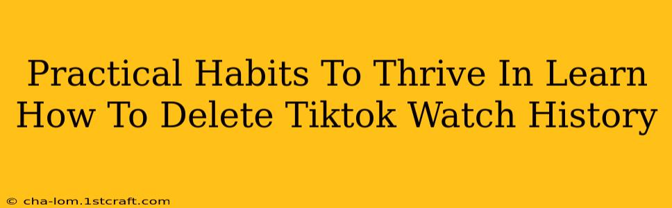 Practical Habits To Thrive In Learn How To Delete Tiktok Watch History