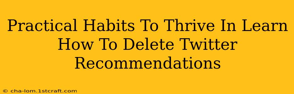 Practical Habits To Thrive In Learn How To Delete Twitter Recommendations