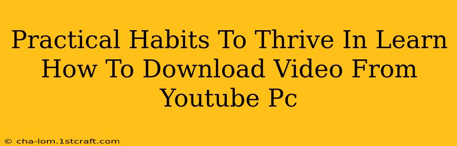 Practical Habits To Thrive In Learn How To Download Video From Youtube Pc