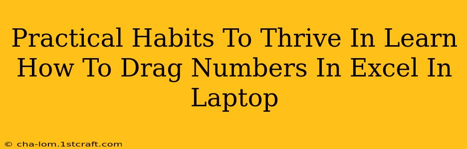 Practical Habits To Thrive In Learn How To Drag Numbers In Excel In Laptop