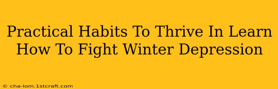 Practical Habits To Thrive In Learn How To Fight Winter Depression