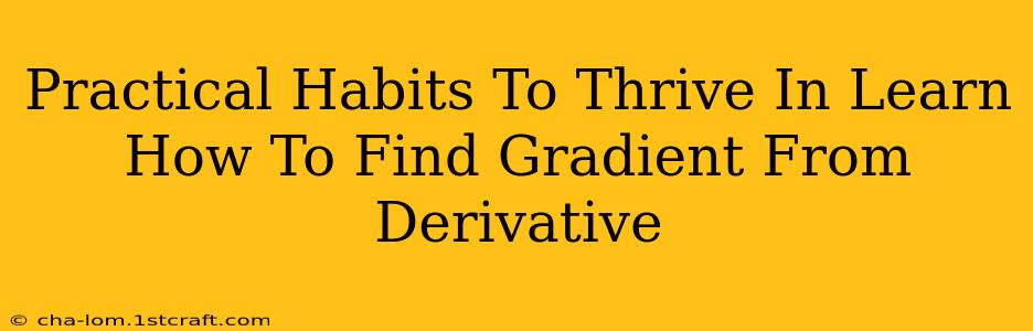 Practical Habits To Thrive In Learn How To Find Gradient From Derivative