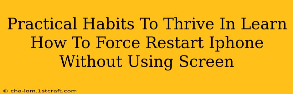 Practical Habits To Thrive In Learn How To Force Restart Iphone Without Using Screen