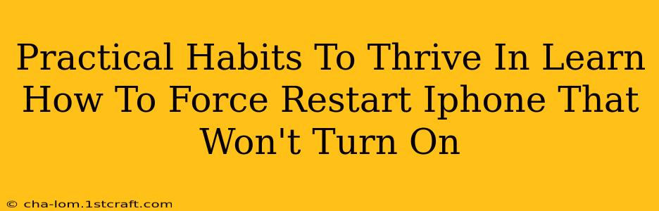 Practical Habits To Thrive In Learn How To Force Restart Iphone That Won't Turn On