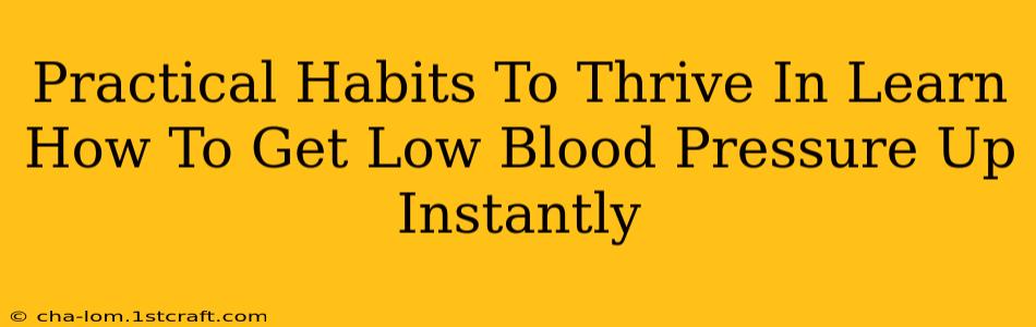 Practical Habits To Thrive In Learn How To Get Low Blood Pressure Up Instantly