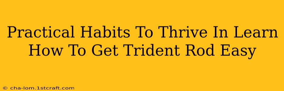 Practical Habits To Thrive In Learn How To Get Trident Rod Easy