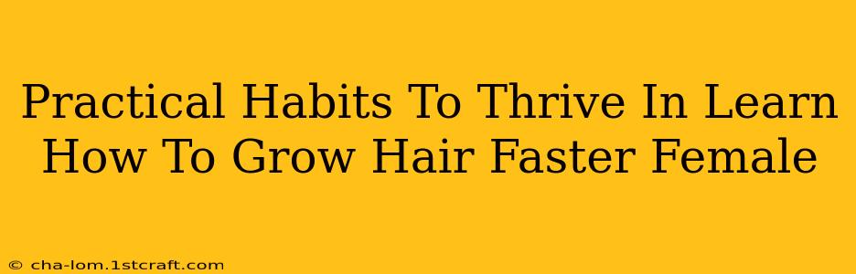 Practical Habits To Thrive In Learn How To Grow Hair Faster Female