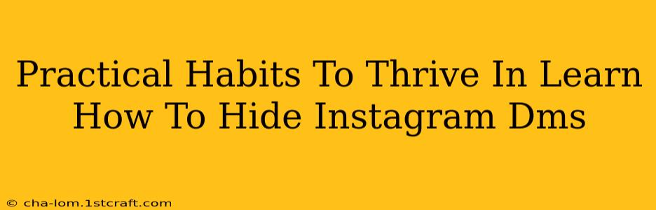 Practical Habits To Thrive In Learn How To Hide Instagram Dms