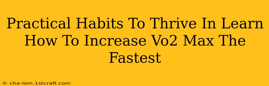 Practical Habits To Thrive In Learn How To Increase Vo2 Max The Fastest