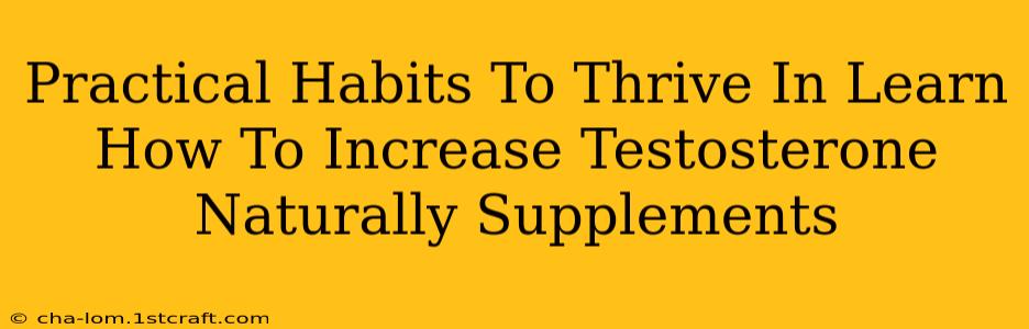 Practical Habits To Thrive In Learn How To Increase Testosterone Naturally Supplements