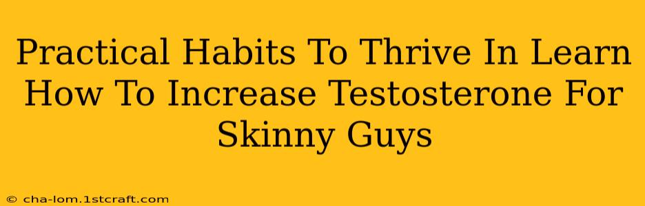 Practical Habits To Thrive In Learn How To Increase Testosterone For Skinny Guys