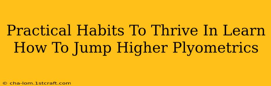 Practical Habits To Thrive In Learn How To Jump Higher Plyometrics