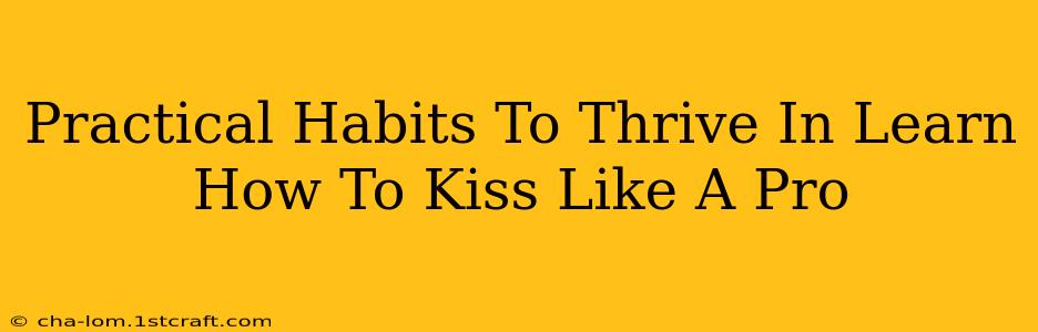 Practical Habits To Thrive In Learn How To Kiss Like A Pro