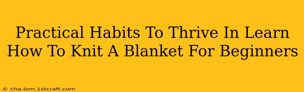 Practical Habits To Thrive In Learn How To Knit A Blanket For Beginners