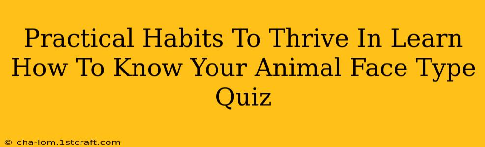 Practical Habits To Thrive In Learn How To Know Your Animal Face Type Quiz