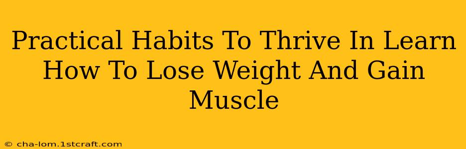 Practical Habits To Thrive In Learn How To Lose Weight And Gain Muscle