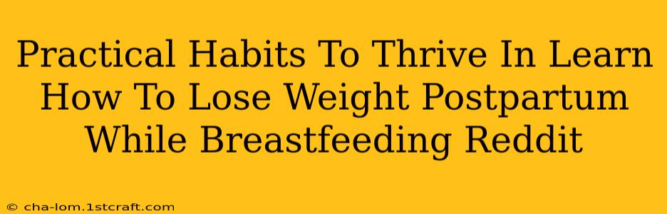 Practical Habits To Thrive In Learn How To Lose Weight Postpartum While Breastfeeding Reddit